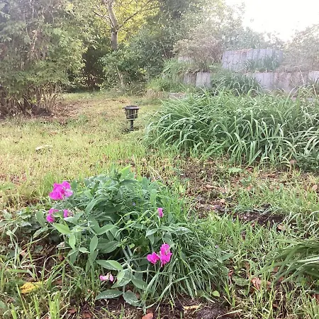 Lauerwald Apartment *