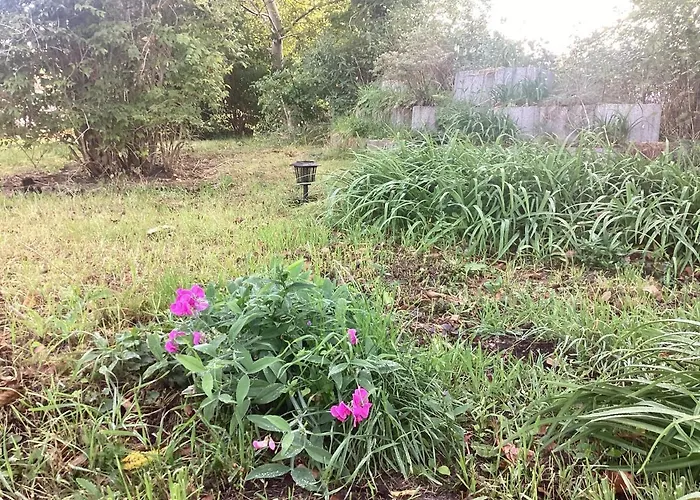 Gaestehaus Lauerwald Apartment *